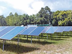 Foreign JV to build 50MW solar power plant