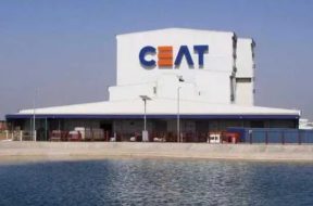 CEAT completes 26 pc stake buy in Cleanwin Energy