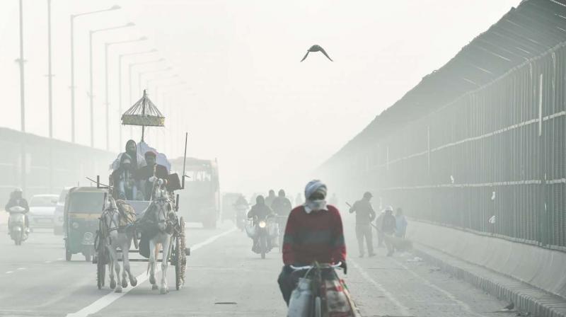 Delhi unveils 10-point action plan to combat air pollution in winter – EQ Mag Pro