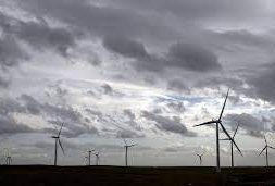 Iberdrola Shuns Renewables Auction, Blaming Uncertainty in Spain