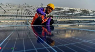 Renewable energy jobs grew globally in 2020 despite COVID-19 crisis