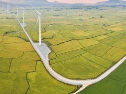 Renewable-energy opportunities in Vietnam