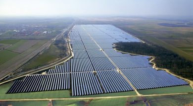 A source of smoothies, and possibly renewable energy in Brazil