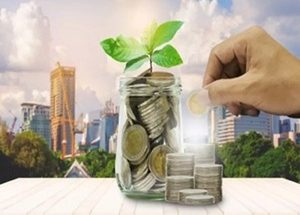 Parliamentary panel for innovative tools like green banks, renewable finance obligation to boost clean energy