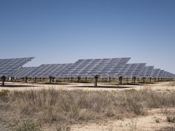 Texas Emerges as Solar’s Next Frontier as Power Demand Booms