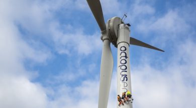 Octopus Renewables to purchase wind farms in UK and Europe