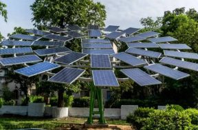 Odisha ITI Berhampur develops solar tree