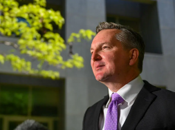 Chris Bowen confirmed as new energy and climate minister, McAllister as assistant