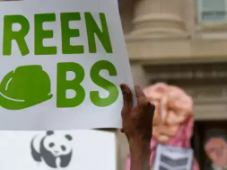 BRICS nation recognise promotion of green jobs