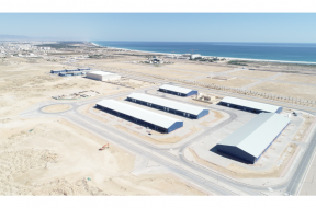 US’ Advanced Industries Inc To Build 200 MW Module Fab In Oman