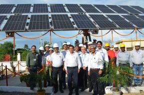 SAIL’s first on-grid solar tree at Mills Administrative Building
