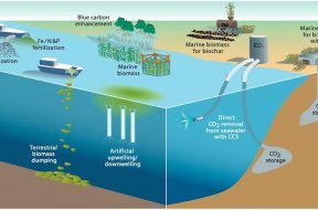 Ocean-based Carbon Dioxide Removal 6 Key Questions, Answered