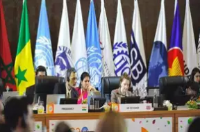 Delegates discuss energy security, climate change at second G20 Framework Working Group meeting