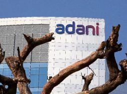 Adani Green raises capacity by 43%