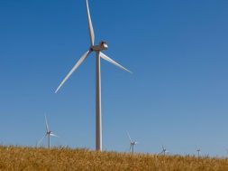 Suzlon bags 100.8 MW wind energy project from Everrenew Energy
