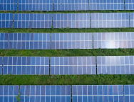 Google Collaborates with an Irish Solar Company to Strive for a Carbon-Free Energy Grid Operation