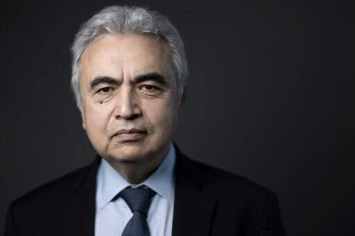Trade barriers can slow energy transition: IEA chief – EQ