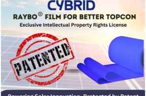 Cybrid_RayBo_4